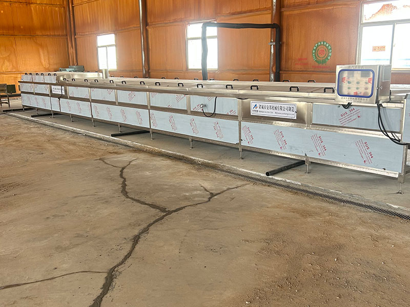 寧夏黃花菜加工現(xiàn)場(chǎng)